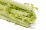 Celery Vegetable On White Stock Photo