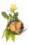 Easter Nest With Twio Eggs And Feathers Stock Photo