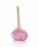 Garlic Isolated On White Background Stock Photo