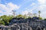 Coral Park Mountain, Doi Phaklong National Park Stock Photo