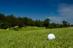 A Golf Ball Stock Photo