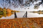 Autumn October Colorful Park. Foliage Trees Alley Stock Photo