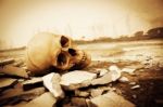 Human Skull On Ruins Place Stock Photo