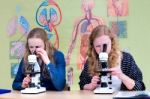 Two Dutch Teenage Girls Looking Through Microscope Stock Photo