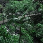 Purlingbrook Falls In Springbrook Stock Photo