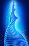 Dna Structure Stock Photo