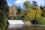 Sheffield Park, Sussex/uk - November 3 : Bridge And Weir At Shef Stock Photo