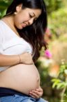 Wonderful Pregnant Woman Stock Photo