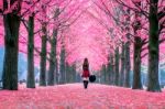 Beautiful Girl With Pink Leaves In Nami Island, South Korea Stock Photo