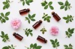 Bottles Of Essential Rose Oil For Aromatherapy Stock Photo