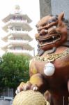 Stone Lion And Gate In Temple Pagoda Stock Photo