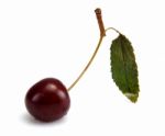 Cherry With Leaf Stock Photo