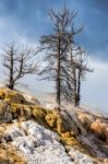 Mammoth Hot Springs Stock Photo