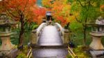 Bridge Wtih Autumn Leaves At Eikando Temple Stock Photo