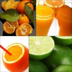 Citrus Fruits Collage Stock Photo