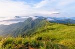 Morning In Phu Chi Fa Forest Park Stock Photo