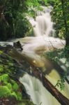 Knyvet Falls In Cradle Mountain Stock Photo