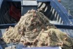 Fishing Net Stock Photo