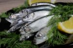 Salted Sprats Stock Photo