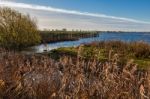 Landscape Near Ely Stock Photo