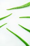 Aloe Vera Fresh Leaves On White Stock Photo