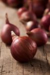 Shallots Still Life Wood Background Close Up Stock Photo