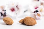 Almond Tree Branch And Almonds Stock Photo