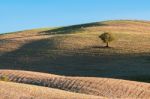 Tuscany Stock Photo