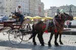 Carriage And Horses In Krakow Stock Photo