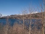 Beautiful Lake, Snow Mountain And Pine Tree Stock Photo