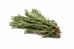 Fresh Rosemary Stock Photo