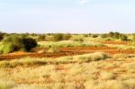 Desert Landscape In Sudan Stock Photo