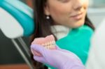 Dentist Examining A Patient's Teeth In The Dentist Stock Photo