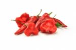 Red Hot Pepper Stock Photo