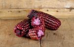 Red Corn On The Wooden Background Stock Photo