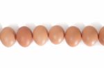 Eggs Aligned Horizontally Stock Photo