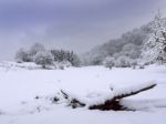 Winter Landscape Stock Photo