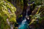 Looking Into Avalanche Creek Stock Photo