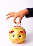 Piggy Bank Stock Photo