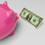 Piggy Dollars Shows Money Savings And Wealth Stock Photo