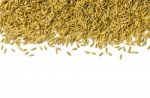 Top View Of Paddy Rice And Rice Seed On The White Background For Isolated Stock Photo