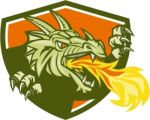 Dragon Head Fire Crest Retro Stock Photo