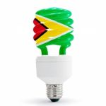 Flag Of  Guyana On Bulb Stock Photo