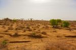 Wildlife Landscape Near Laisamis In Kenya Stock Photo