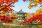 Gyeongbokgung Palace In Autumn,south Korea Stock Photo