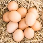 Eggs In A Straw Nest Stock Photo