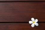 White Frangipani Flower On Wood Stock Photo