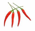 Peppers Stock Photo