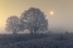 Foggy Twilight With Moon Stock Photo