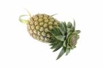 Pineapple Head Leaf Cut On White Background Stock Photo